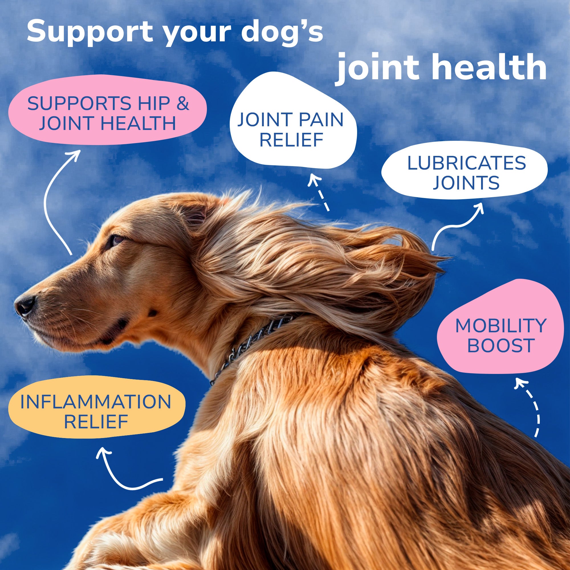 Hip and Joint Glucosamine for Dogs